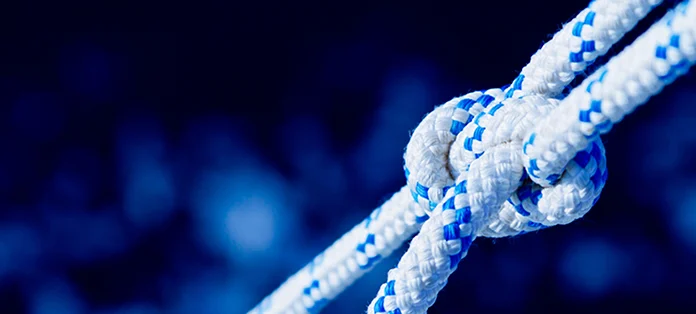 17 High-Yield Ways to Retie the Connection as a Certified Legal Nurse Consultant